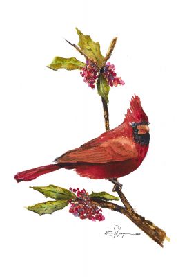 100-309 winter cardinal web.jpg